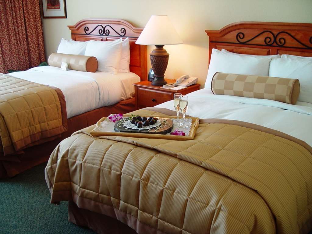 Hotel Hilton Airport